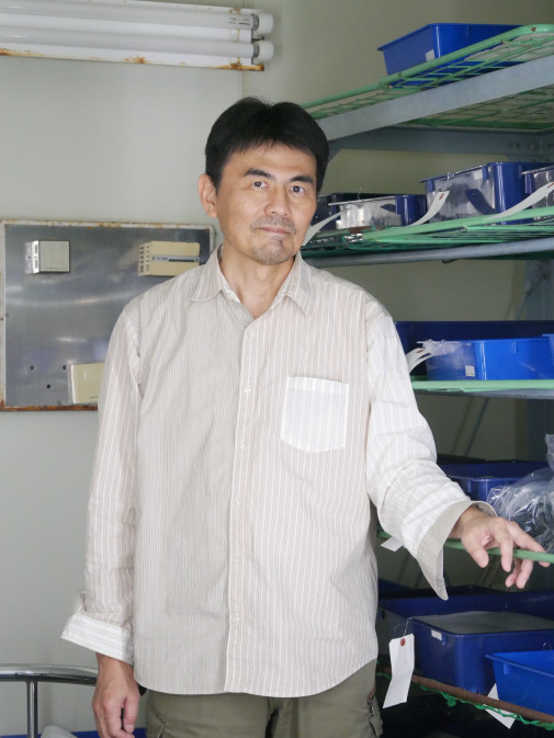 多くの種が現存する昆虫の世界は、進化のプロセスを観察できる“実験場”と呼んでもいい。