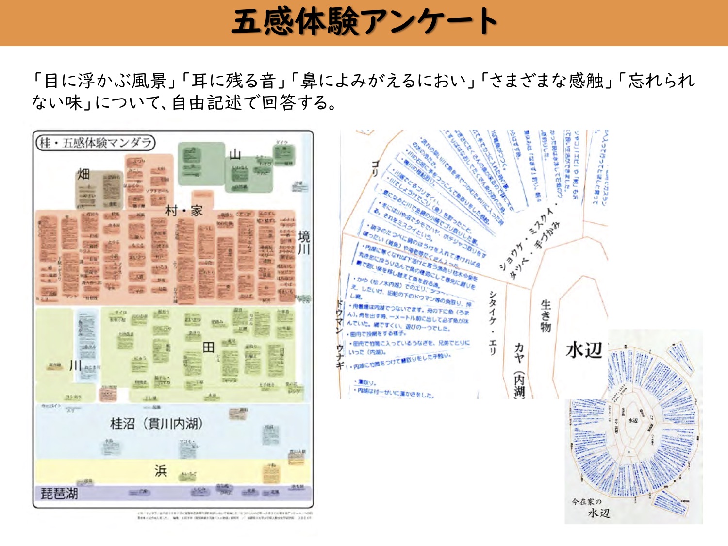 過去を育てることから未来をつくる。コモンズとしての地域の記憶を回復