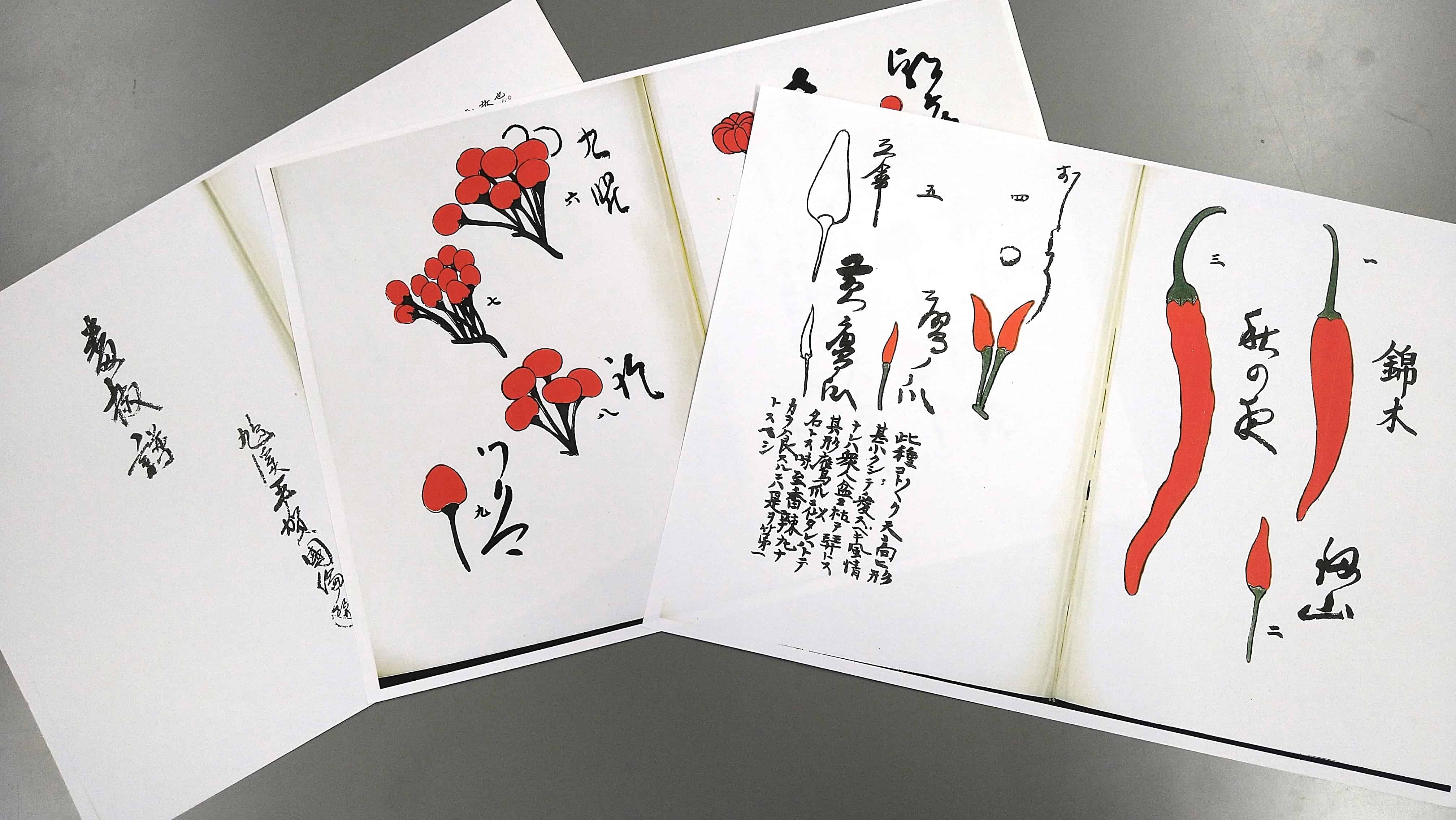 図説 快楽植物大全 図説 快楽植物大全 Amazon.co.jp: Z/X ゼクス カード 上