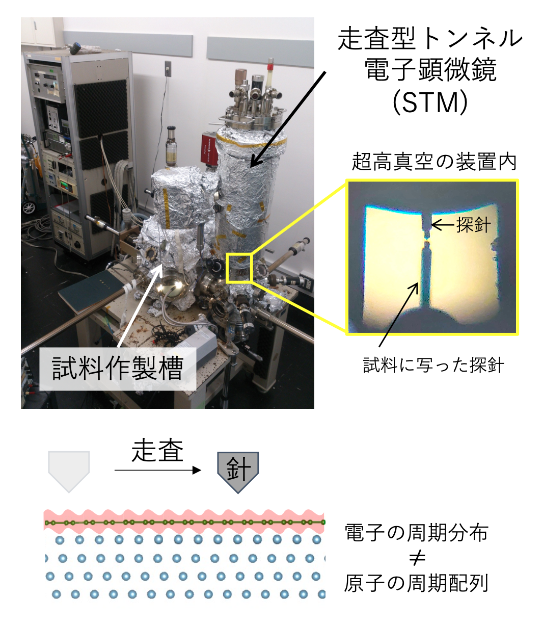 分子性物質の物理: ―物性物理の新潮流―