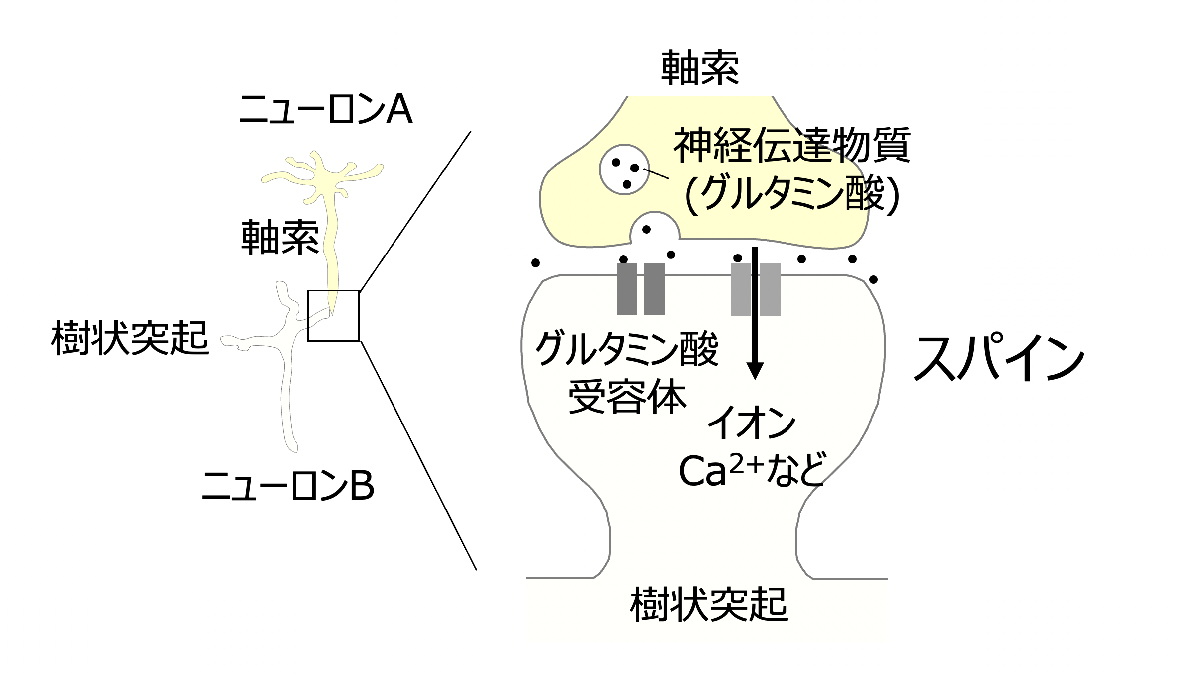 頭蓋反射テクニック症例10選 TMS短期集中入院 | リハビリテーションセンター 医療法人 石和